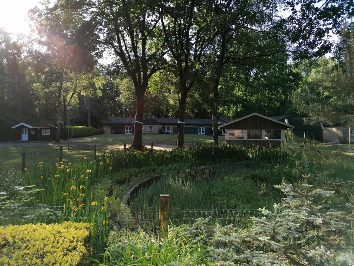 Waldjugendherberge Uelsen Exteriör bild